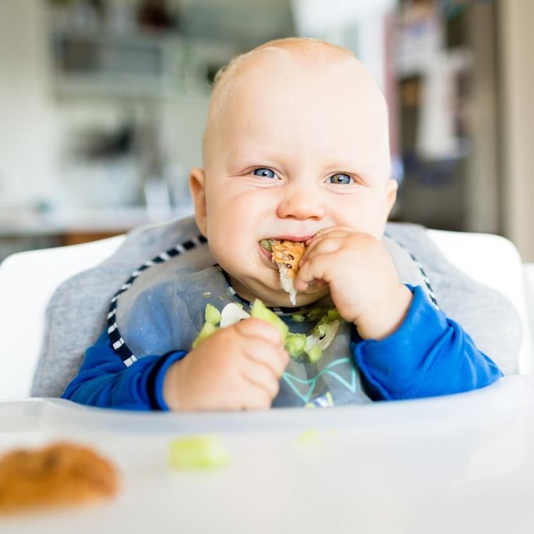 Baby eating bread and cucumber with BLW method, baby led weaning. Happy vegetarian kid eating lunch. Toddler eat himself, self-feeding.