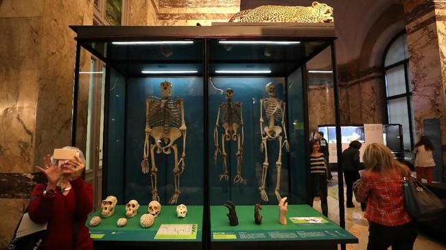 FOTO: Melihat Afrika di Belgia