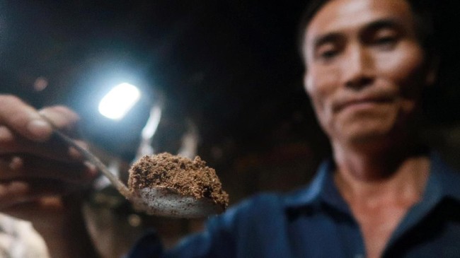FOTO: Bisnis Kecoak Penghancur Limbah di China
