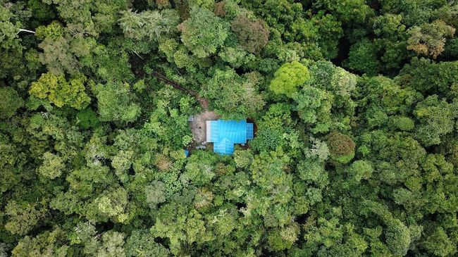 Delapan kawasan hutan konservasi di Provinsi Riau, dinilai memiliki potensi untuk menjadi destinasi wisata berbasis sumber daya alam.