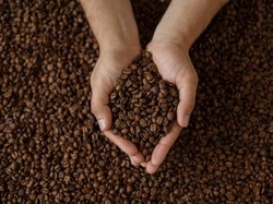 Sejarah Kopi di Indonesia: Dibawa Belanda dari Malabar Kini Mendunia