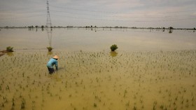 Banjir Hampir 3 Bulan, Warga Kendeng Duga akibat Deforestasi & Tambang