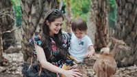<p>Sejak kecil Bjorka sudah diajarkan untuk sayang dengan hewan. Mama Sabai lagi ajak Bjorka  ke Bali Zoo nih.(foto: instagram @ sabaidieter)</p>