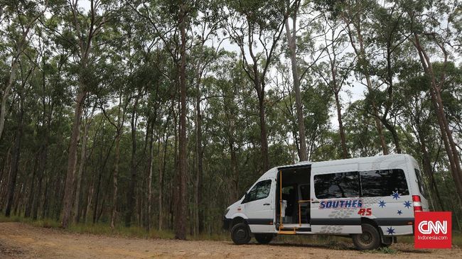Taman Nasional Tamborine merupakan kawasan hutan yang terletak di pedalaman Gold Coast, atau sekitar 45 kilometer di selatan kota Brisbane.