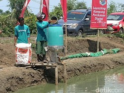 Mengenal eFishery, Startup Robot yang Bantu Nelayan Budi Daya Ikan