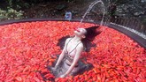 NYALANG: Terbuai Semburat dan Senyap Dalam foto unik pilihan CNNIndonesia.com pekan ini, ada bayangan katedral di sungai yang dingin, tangga-tangga stadion yang beku, dan festival Santa Klaus.