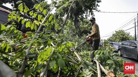 Korban Tertimpa Pohon di Bandung Bisa Dapat Ganti Rp50 Juta