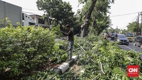 Hujan dan Angin Kencang di Surabaya, Sejumlah Pohon Tumbang