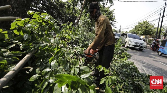 Jakarta Smart City buka suara terkait laporan kabel CCTV yang menjuntai di salah satu ruas jalan di kawasan Pedongkelan, Cengkareng, Jakarta Barat.