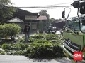 Hujan Disertai Angin, Pohon Tumbang di Sejumlah Titik Jakarta