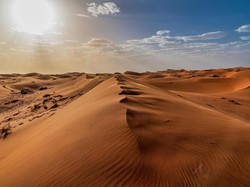 Apakah Ada Kehidupan di Gurun Sahara yang Sangat Panas?