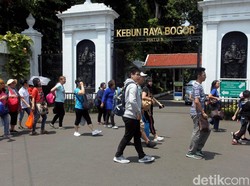 LIPI Tutup Kebun Raya Bogor akibat Wabah Virus Corona