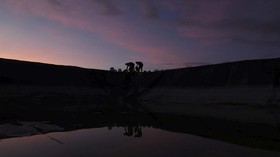 FOTO: Perjuangan Pengungsi Kuba Terobos Perbatasan Chile