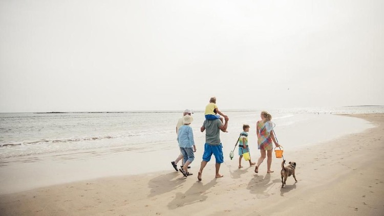 Rear view of a family walking along the beach with their dog while on holiday.