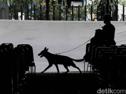 Kawanan Anjing Pelacak Tarik Perhatian Peserta CFD