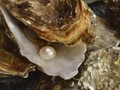 Desainer Jepang Buat 'Masker' Mutiara Seharga Rp136,6 Juta