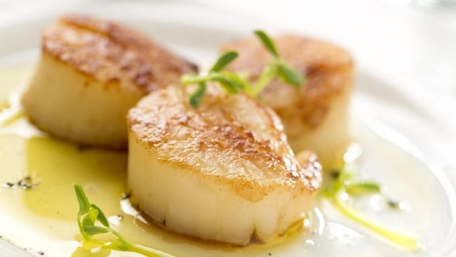 Di Peru, scallop dianggap sebagai nugget emas karena bisa mendulang banyak uang. Selain itu, scallop pun bisa tumbuh dengan baik di perairan Peru.
