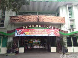 Tutup Gegara Corona,  GL Zoo Yogya Produksi Pakan-Siagakan Dokter 24 Jam