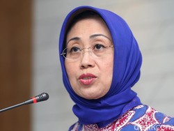 Ombudsman Harap Fraksi Lain Ikuti Golkar Cabut Dukungan RUU Ketahanan Keluarga