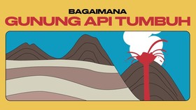 INFOGRAFIS: Proses Tumbuh Gunung Berapi Anak Krakatau