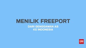 Menilik Freeport dan Upaya Jokowi Genggam Saham Mayoritas