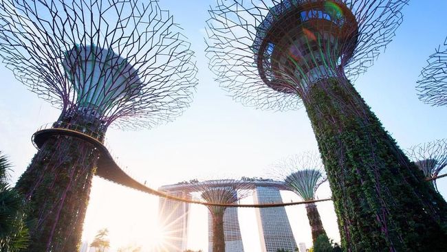 Singapura melonggarkan peraturan terkait kunjungan wisata. Berikut syarat terbaru liburan ke Singapura.