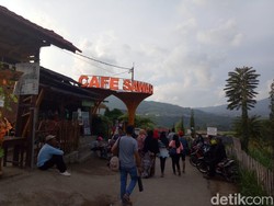 Cafe Sawah Pujon Kidul Malang: Daya Tarik, Tiket Masuk, dan Lokasi
