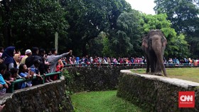 Piknik 'Murah' di Ragunan Rayakan Tahun Baru Masih Favorit