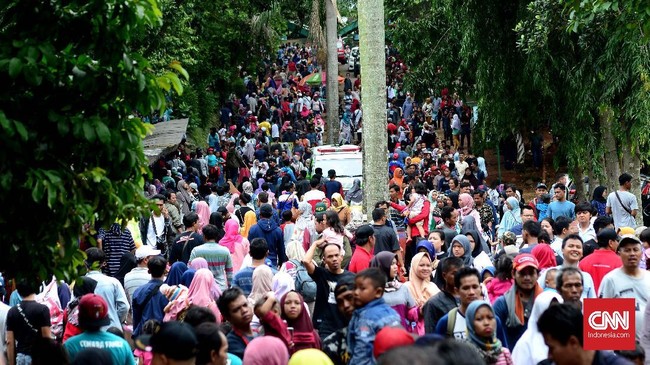 Saat meninjau taman margasatwa Ragunan, Gubernur DKI mengatakan pengunjung ke kebun binatang itu melonjak salah satunya karena warga menghindari wisata pantai.