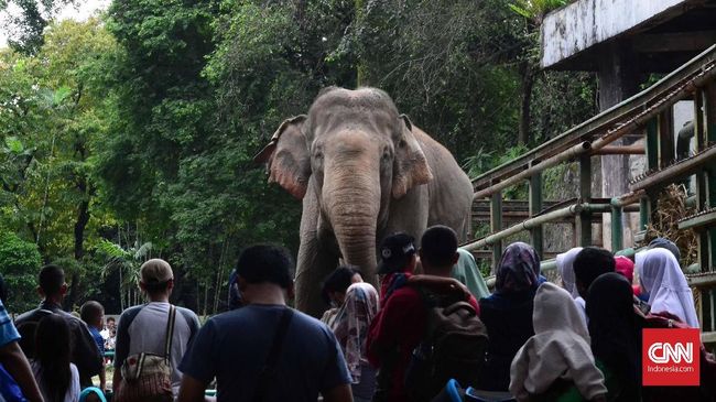 Rumah Raden Salen yang luas dan megah di bilangan Cikini, Jakarta Pusat, menjadi cikal bakal dibangunnya Taman Margasatwa Ragunan.