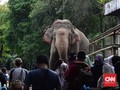 Raden Saleh, Cikini 73 dan Asal Muasal Kebun Binatang Ragunan