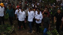 Jokowi Beri Tenggat Relokasi Pesisir Lampung Tiga Bulan