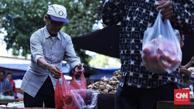 Kebijakan kantong berbayar diperkirakan tidak akan efektif menyelamatkan lingkungan dari sampah plastik, jika tak diikuti dengan pengelolaan sampah yang baik.