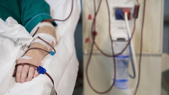 KPCDI mengungkap dampak penonaktifan PBI BPJS Kesehatan, memaksa pasien cuci darah beralih ke BPJS Mandiri. Kebijakan ini dinilai melanggar hak atas kesehatan.