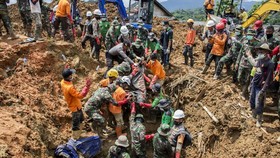 Longsor Sukabumi Telan 31 Korban Jiwa, Dua dalam Pencarian