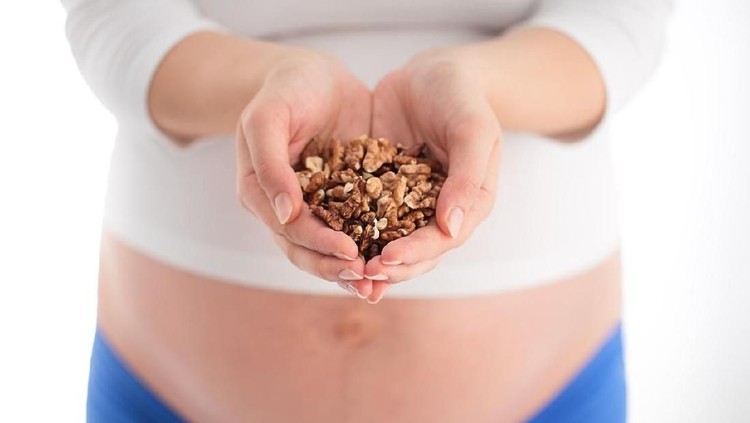8 Manfaat Ibu Hamil Konsumsi Kacang Kenari Bunda sedang hamil dan senang ngemil kacang kenari?