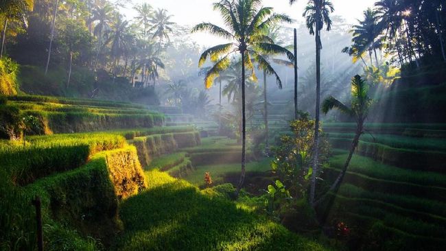 Sebagian orang percaya inti dari berwisata adalah menafkahi sisi spiritual.