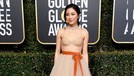 Ajang insan seni&comma; Golden Globes 2019&comma; tengah digelar di The Beverly Hilton&comma; Amerika Serikat&comma; Minggu &lpar;6&sol;1&rpar; malam&period; Yuk&comma; intip penampilan para seleb di red carpet&period;
