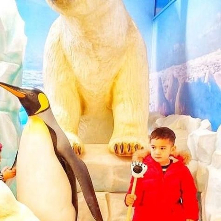 <p>Hebat nih si Aa, nggak takut foto bareng beruang kutub dan pinguin. Ha-ha-ha. Jelas saja ya, Bun, karena yang di samping itu cuma patungnya saja. (Foto: Instagram @raffinagita1717)</p>