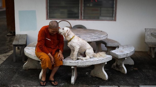 FOTO: Mendobrak Tradisi Jadi Biksu Wanita di Thailand