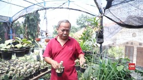Koleksi Kaktus Pembawa Berkah Hari Tua Adjie