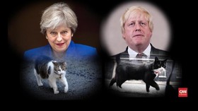 VIDEO: Larry, Kucing 'Brexit' di Kantor PM Inggris