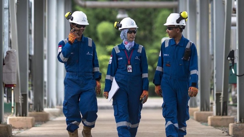 Ketersediaan energi nasional, khususnya dari minyak dan gas bumi (migas), sangat tergantung dari kemampuan dalam menemukan cadangan serta memproduksi migas.