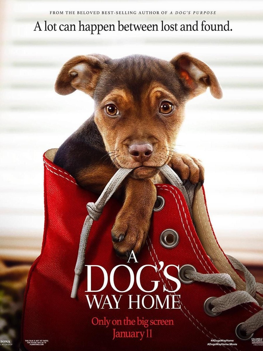 A Dog's Way Home Berikut daftar box office Hollywood pekan ini.