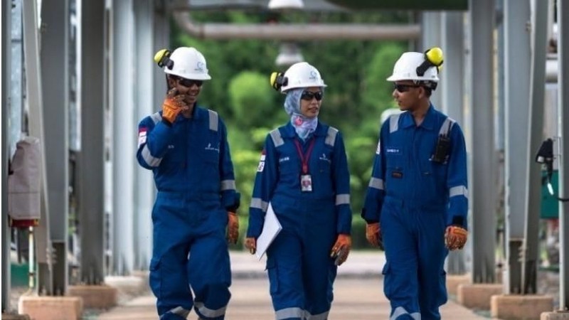 Ketersediaan energi nasional, khususnya dari minyak dan gas bumi (migas), sangat tergantung dari kemampuan dalam menemukan cadangan serta memproduksi migas.