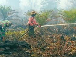 Cegah Karhutla, Pemerintah Siapkan Hujan Buatan di Area Prioritas