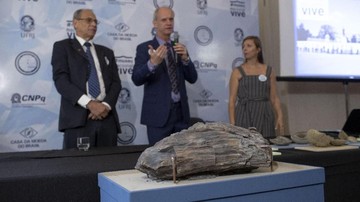 Museum Brasil Adakan Pameran Pertama Sejak Terbakar