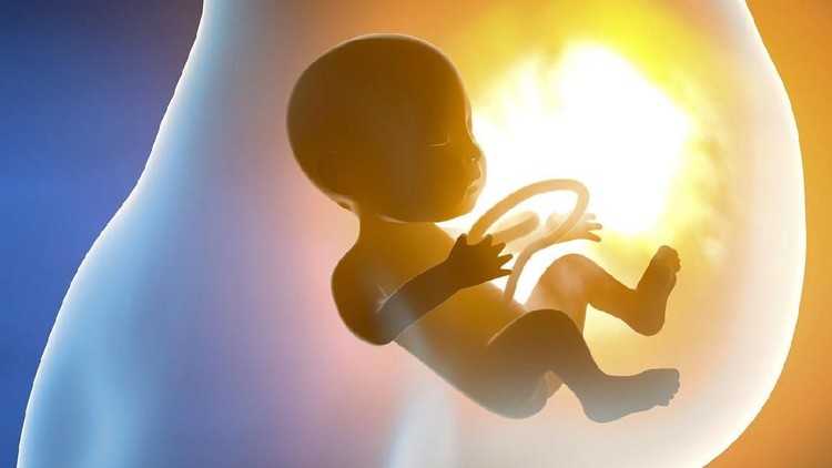 Pencegahan pada cacat janin dan bayi baru lahir bisa diperoleh dari hasil temuan para peneliti.