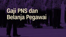 INFOGRAFIS: Fakta Gaji PNS era Jokowi