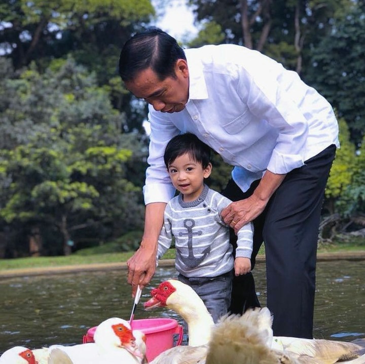 <p>Saat akhir pekan, waktunya santai nih. <a href="https://news.detik.com/detiktv/d-4390134/4-memorable-moment-dalam-debat-capres-semalam?tag_from=wp_wm_video_1&_ga=2.65336813.213445956.1547338152-133824907.1546227255" target="_blank">Jokowi</a> mengajak sang cucu main bareng angsa-angsa. Jan Ethes tetap sadar kamera ya. (Foto: Instagram @jokowi)</p>